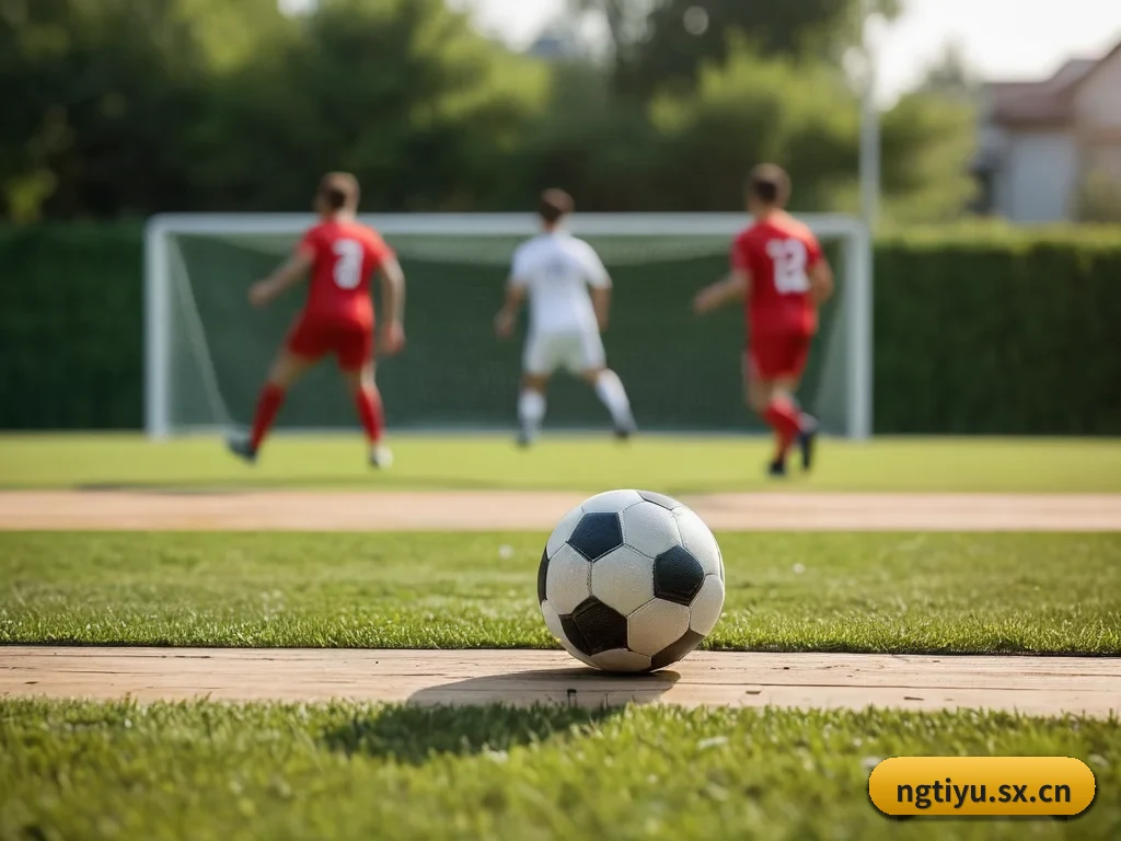 NG体育 APP | NG SPORTS